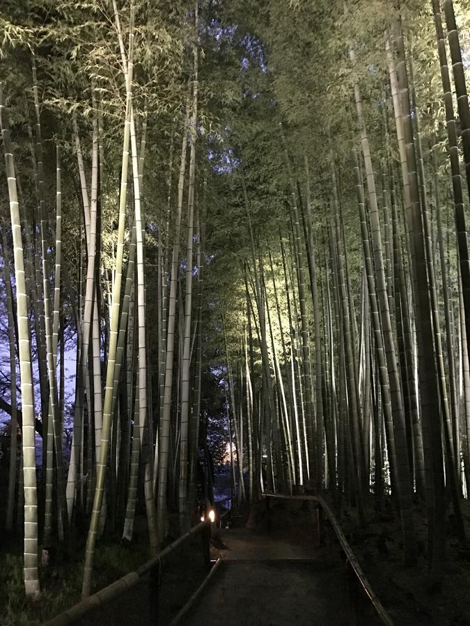 Sakuraya-Inn โอซาก้า ภายนอก รูปภาพ